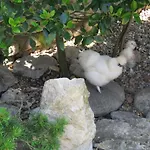Bed & Breakfast Les Buis De