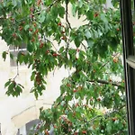 Les Buis De Bed & Breakfast