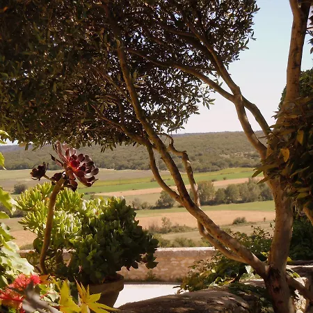 Les Buis De Lussan (Gard)