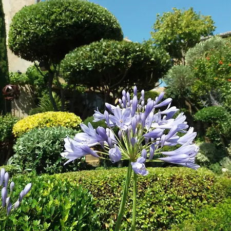 Les Buis De Lussan Bed & Breakfast 3*