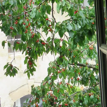 Les Buis De Lussan Bed & Breakfast